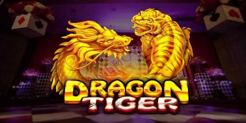 Cách Chơi Rồng Hổ Chuyên Nghiệp, Hiệu Quả Như Cao Thủ